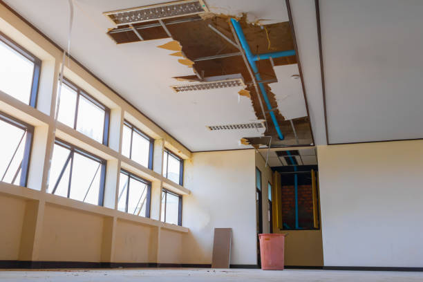 Best Water damage cleanup near me  in Oceano, CA
