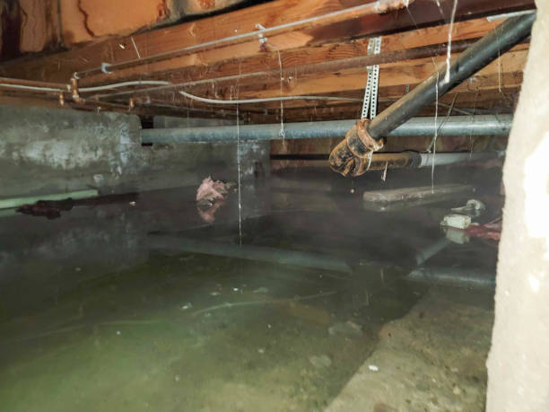 Best Local water damage restoration  in Oceano, CA