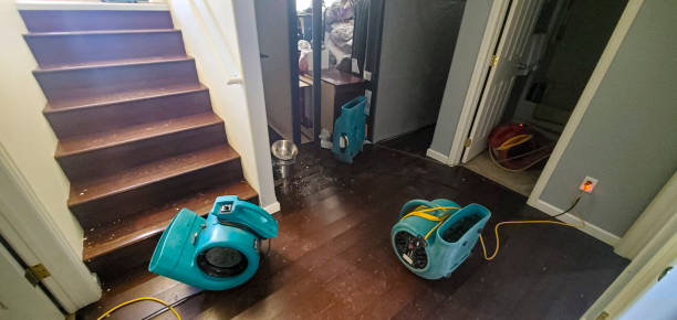 Best Carpet water damage restoration  in Oceano, CA