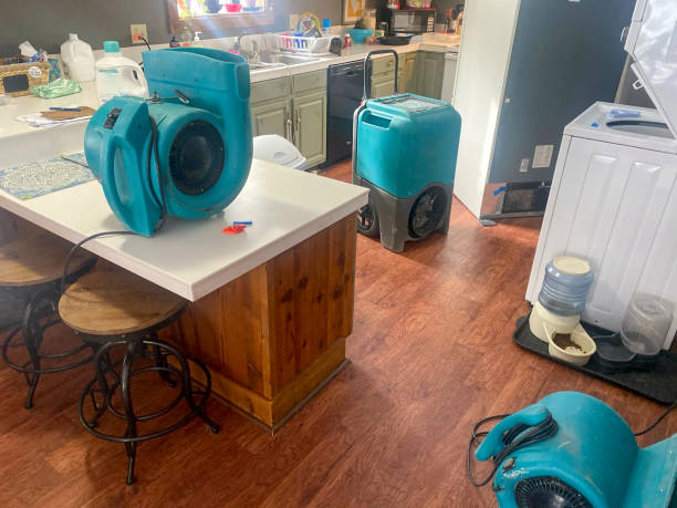 Best Fire Damage Restoration  in Oceano, CA