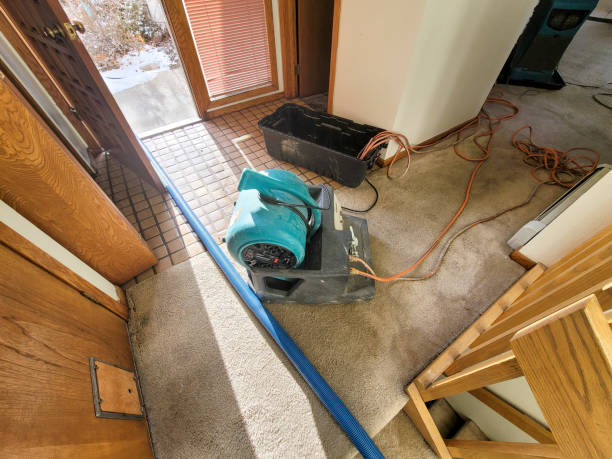 Best Emergency water extraction  in Oceano, CA