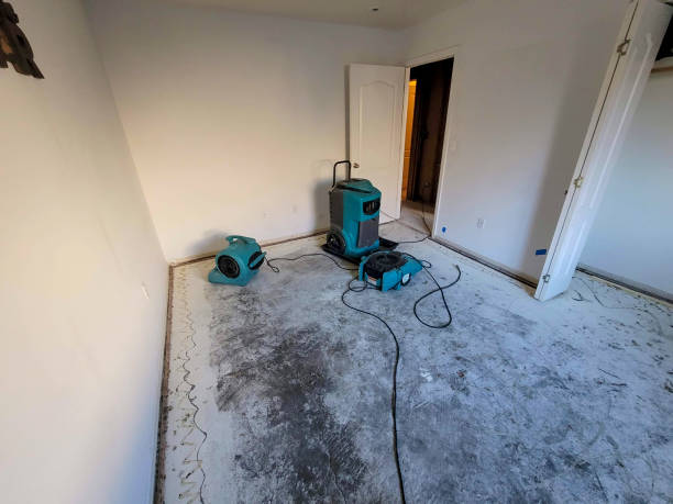 Best Water damage contractors near me  in Oceano, CA