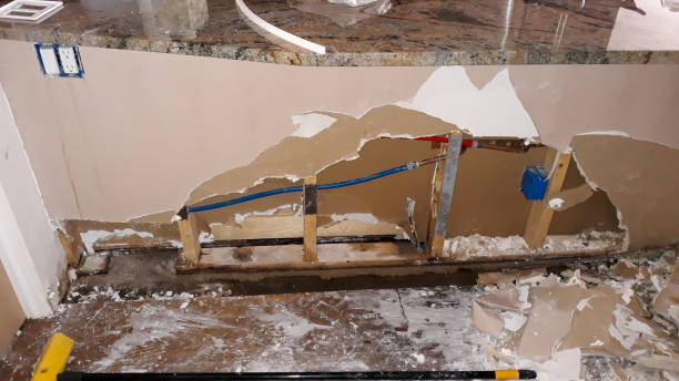 Best Professional water damage repair  in Oceano, CA