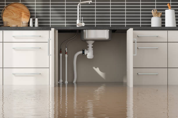 Best Water damage restoration near me  in Oceano, CA