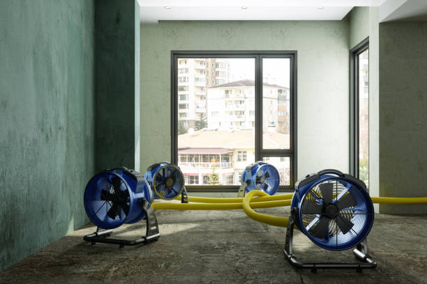 Best Flood restoration services  in Oceano, CA